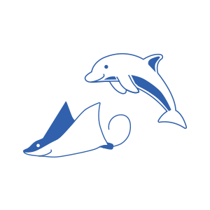 Gewond raken essence dauw Dolphin collectie | Sleep on Seaqual